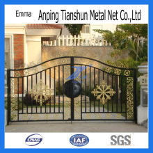 Hot Sale Residential Wrought Iron Gate (TS-E133)